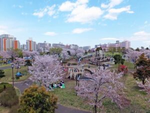 小松川公園の画像